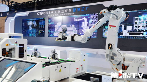 重慶第1眼 2025智博會以智提質，開啟智能技術新篇章